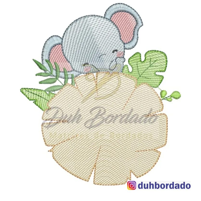 Elefante na Placa