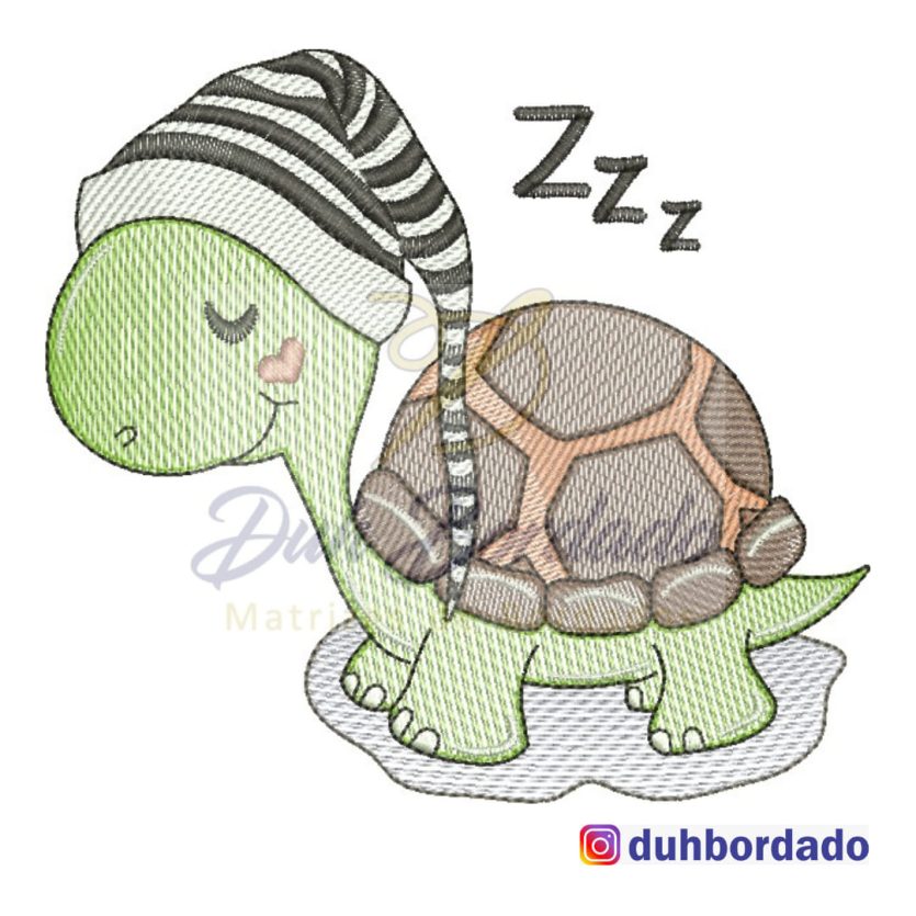 Tartaruga Touca