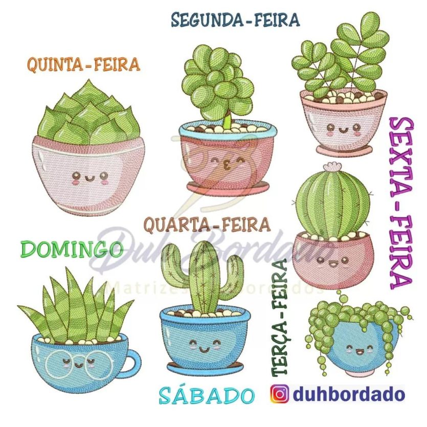 Coleção Semaninha Suculentas e Cactos Completa