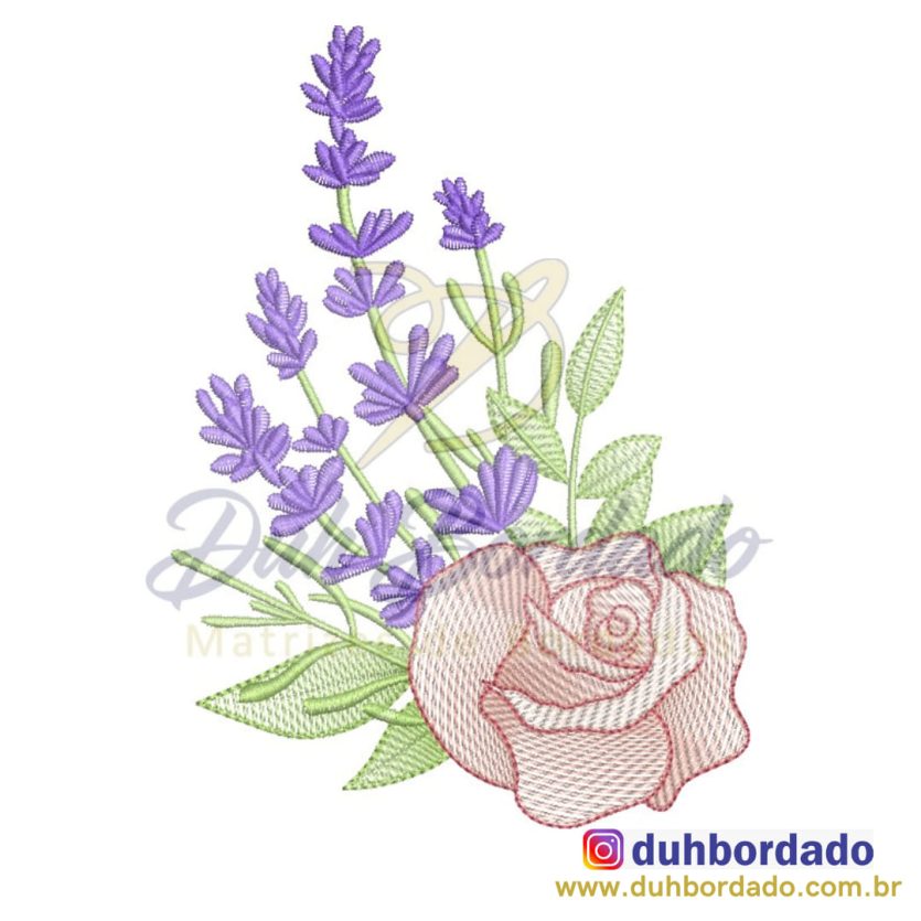 Rosa