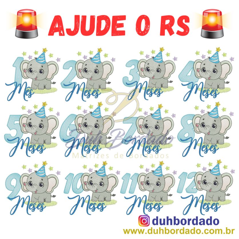 Ajude o RS - Coleção Mesversário Completa