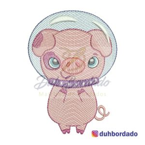 301104770_508056064656522_36796601328123