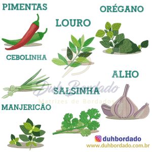 402607823_898640535178280_352389807154793893_n