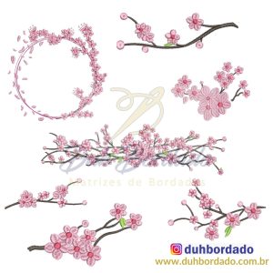 405838921_904073034635030_8102635603050118377_n