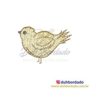 407470254_907555707620096_1671232947264534246_n