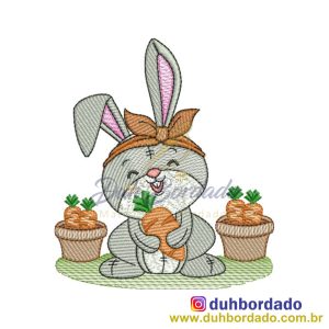 430478117_959077135801286_4241573027613628843_n