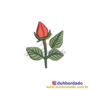 430484319_958675735841426_5614028926658571446_n