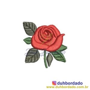 430662542_958675705841429_6985710833796197297_n