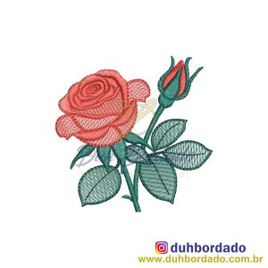 432472944_967982911577375_3999148622811913541_n