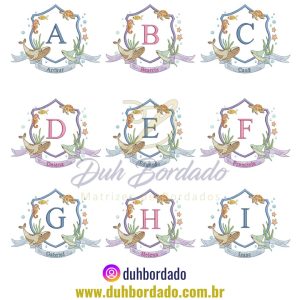 457873543_1070080228034309_6935729098805788793_n