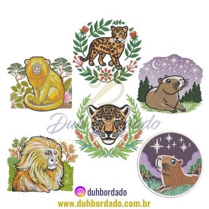 474464202_1166140841761580_5873443439291082095_n