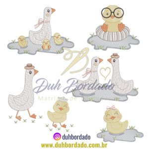 488276152_1215856456790018_5983179752936321280_n