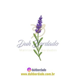 Imagem do WhatsApp de 2025-06-04 à(s) 16.06.35_af556b3e