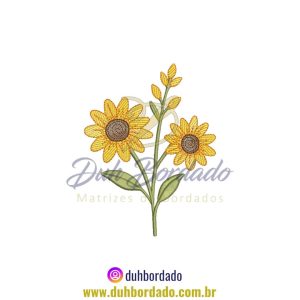 Imagem do WhatsApp de 2025-06-06 à(s) 16.22.23_89b2fb4c